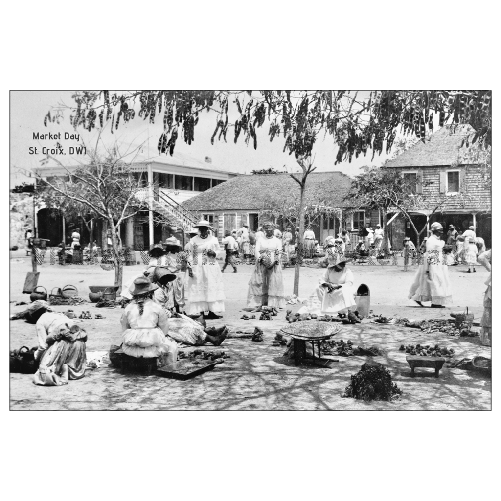 Market Day ~ St. Croix Postcard - Vintage Virgin Islands