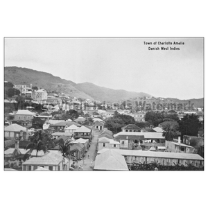 Town View of Charlotte Amalie ~ St. Thomas Postcard - Vintage Virgin Islands