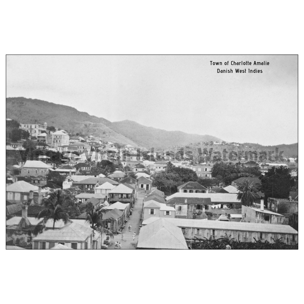 Town View of Charlotte Amalie ~ St. Thomas Postcard - Vintage Virgin Islands