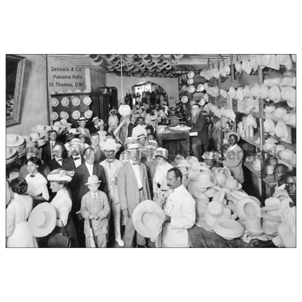 Delinois & Co Panama Hat Store ~ St. Thomas Postcard - Vintage Virgin Islands