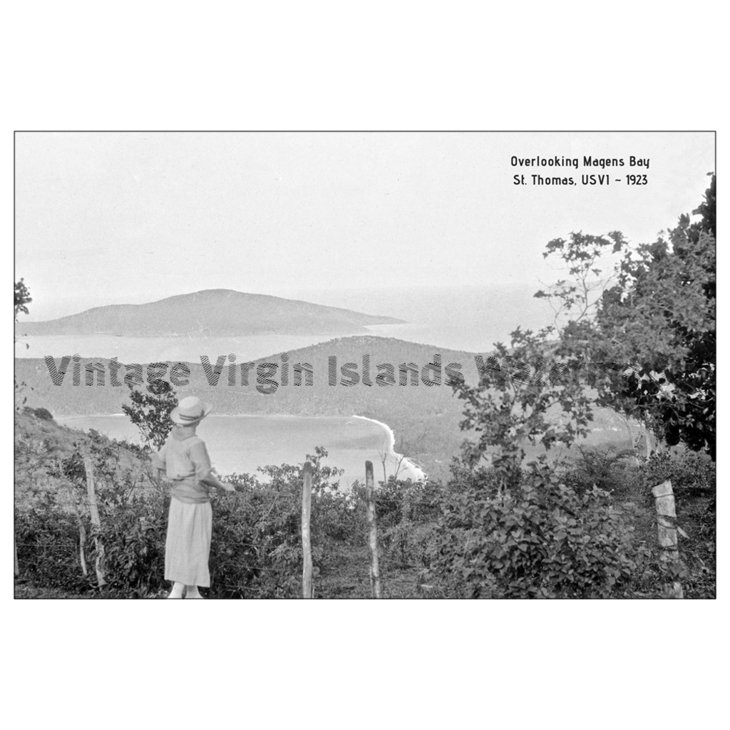 A Scenic View Over Magens Bay ~ St. Thomas Postcard - Vintage Virgin Islands