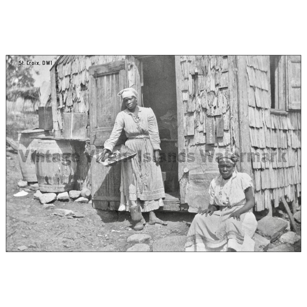 Native Women of St. Croix Postcard - Vintage Virgin Islands
