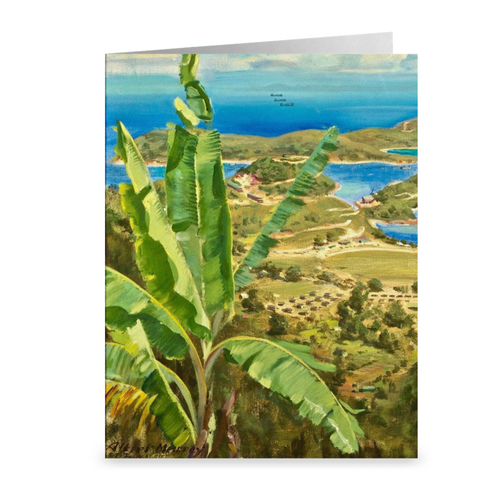 St. Thomas Hillside View by Albert K. Murray ~ Notecard - Vintage Virgin Islands