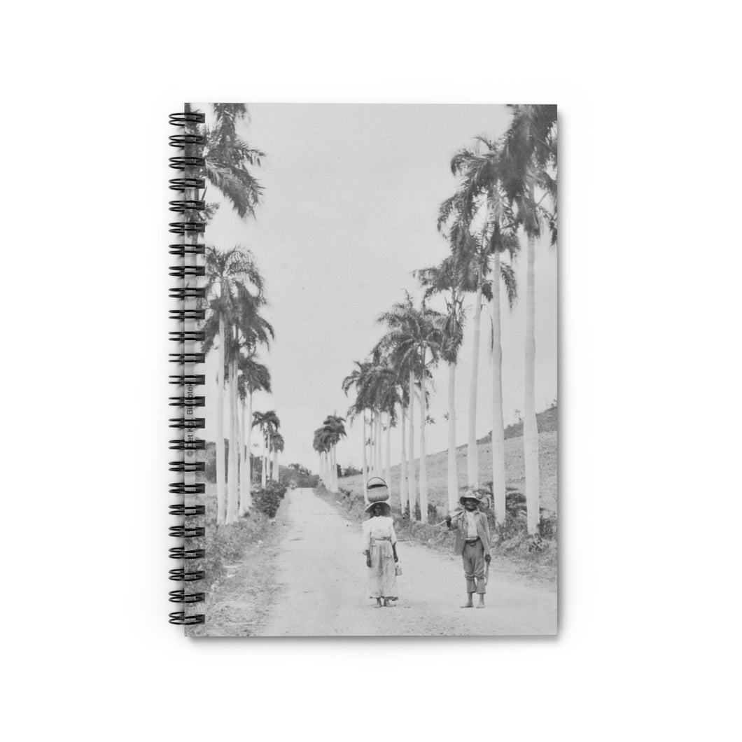 St. Croix Palm Tree Notebook - Vintage Virgin Islands